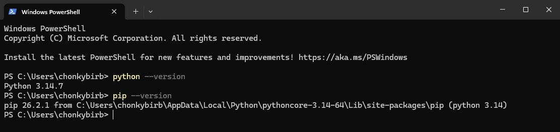 python and pip versions in a new terminal